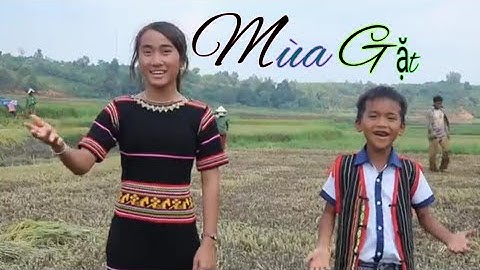 Mùa gặt - nhạc thánh hay 2021