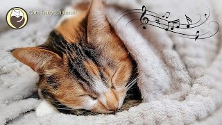 Relaxing Music for Cats  Cat Purring Sounds & Piano Music / Relaxing Sleep Music, Stress Relief