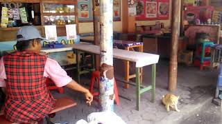 Video lucu si nenek ngobrol sama kucing
