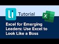 Excel for Emerging Leaders: Use Excel to Look Like a Boss
