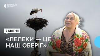 «Тільки встановили гніздо, одразу прилетіли»: Гнізда лелек відновлюють на Дніпропетровщині
