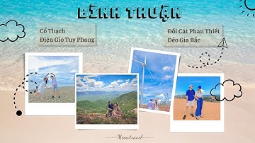 Khám phá biển Cổ Thạch- Điện gió Tuy Phong- Đồi cát Phan Thiết- Meow Travel