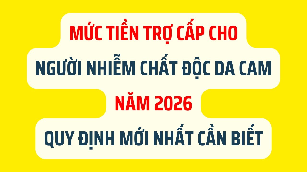 Mức Tiền Trợ Cấp Cho Người Nhiễm Chất Độc Da Cam Năm 2026: Quy Định Mới Nhất Cần Biết