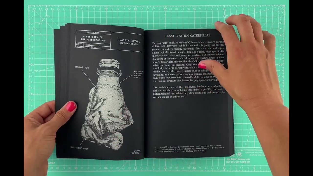 A Bestiary of the Anthropocene Flip Through Video - YouTube