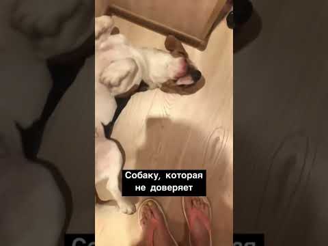 Наша история с хорошим концом💛