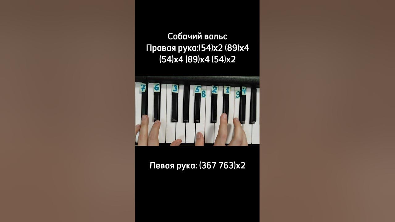 С этой мелодии начинает каждый пианино Собачий вальс на пианино 🎹 ...