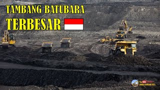 Tambang BATUBARA TERBESAR di INDONESIA