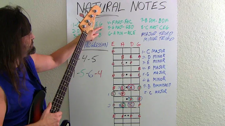 Bass Guitar For Beginners What Bassists Should Know