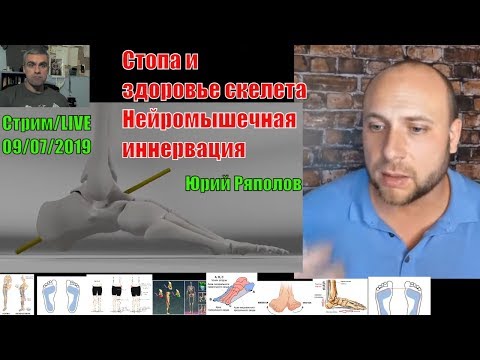 Вопрос: Почему козы когда жуют их челюсть двигается по кругу?