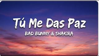Bad Bunny X Shakira - Tú Me Das Paz ❤️| Emotional Love Song 2026 screenshot 4