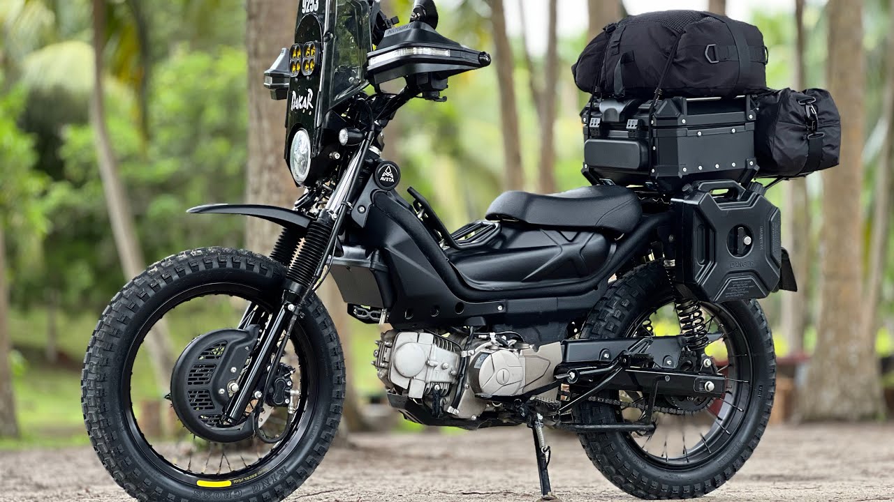 Custom simple2 jer Aveta Ranger Black Cat