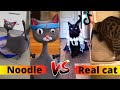 Cat Noodle VS Real Cat - Funny TikTok Compilation