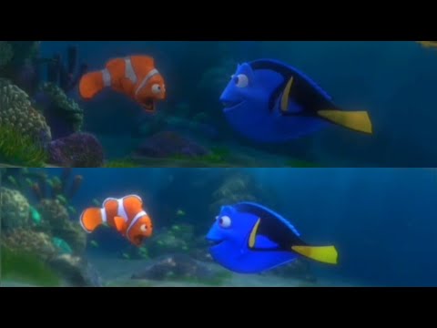 Marlin Meets Dory