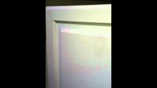IMG 0648
