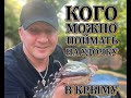 Рыбалка в Крыму Как остаться довольным чтобы и отдохнуть с друзьями и наловить рыбы село Плотинное