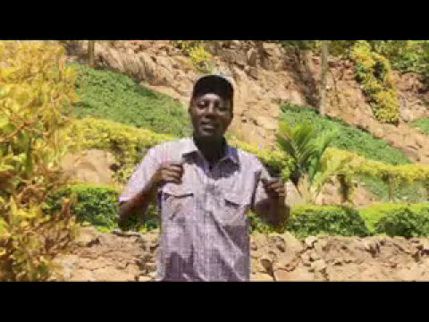 John DeMathew   Thiiri Niingariha Official video