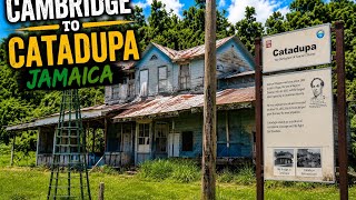 Discover the BEAUTIFUL Jamaica Countryside from Cambridge to Catadupa in St James?