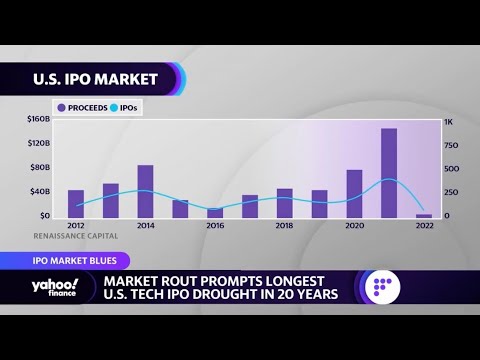 2 factors playing into the ipo freeze