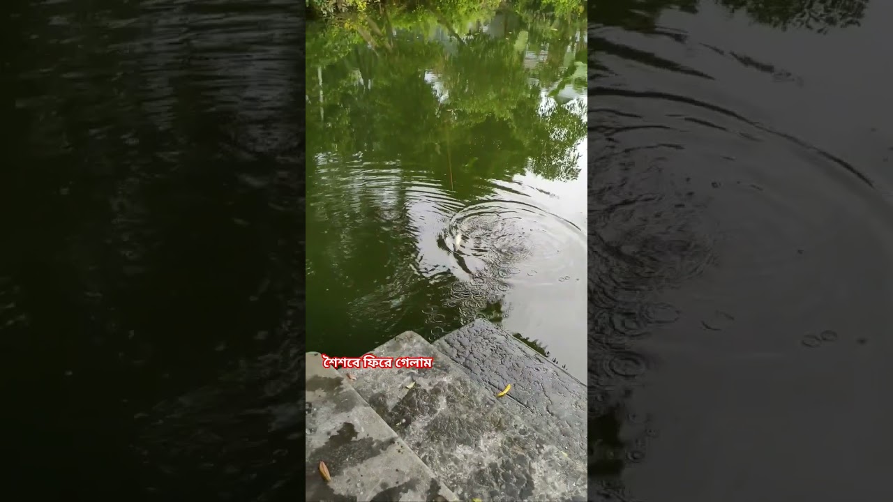 Catch Fish in our Village 