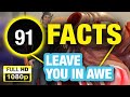 91 Incredible Facts That You Didn’t Learn in School!