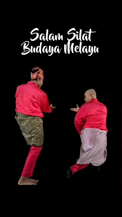 Seni Silat Melayu #melayu #budaya #silat