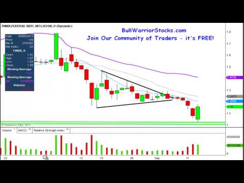 federal-national-mortgage-association-(fnma)-penny-stock-trading-chart_9/13/2013