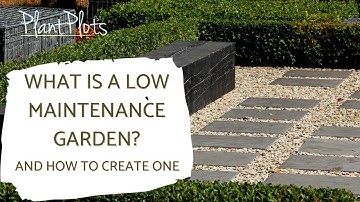 How to Create a Stunning Low-Maintenance Garden | Simple Design Tips by PlantPlots