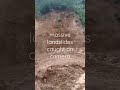 massive landslides caught on camera