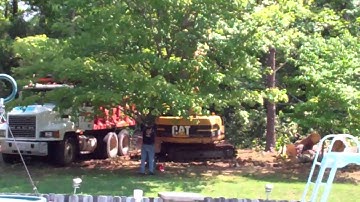 LOADING THE WOOD FOR THE SAWMILL