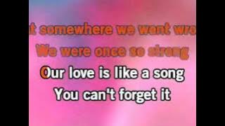 Demi Lovato-Dont Forget-Karaoke