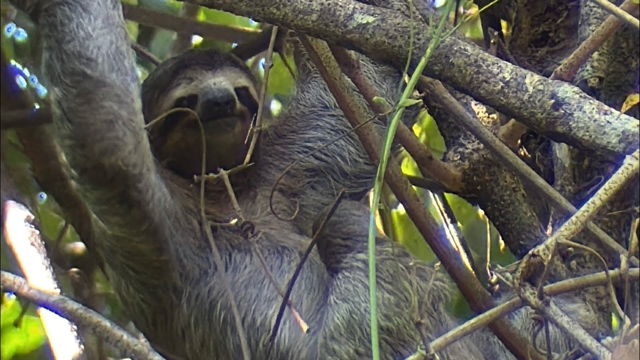Manuel Antonio and Quepos