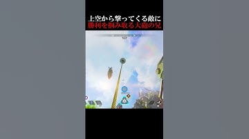 上空から撃ってくる敵に勝利を掴み取るニューキャッスル【APEX #shorts】