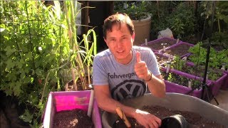 Top Tips On How To Grow An Organic Vegetable Garden For Free Or Cheap