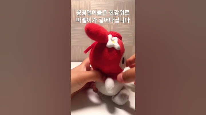 꽁꽁얼어붙은 한강위로 마멜이가 걸어다닙니다 #chuu #츄