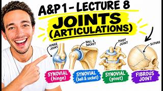 Full A&P1 Lecture 8 - Joints (Articulations) | Fibrous, Cartilaginous, & Synovial (With Bones!) News
