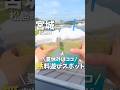 【宮城】夏休みはココ!夏グルメも充実の入場無料イベント開催☀️#仙台グルメ #宮城グルメ #仙台観光 #宮城観光 #仙台旅行 #宮城旅行 #松島 #牡蠣 #japan #oysters #shorts