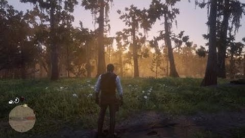 Red Dead Redemption 2 - KKK Random Encounter