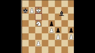 Chess Puzzles!! Mate In ✌️ Move 👑