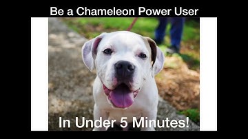 Learn Chameleon in Under 5 Minutes