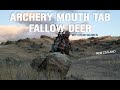 Archery mouth tab solo hntr fallow buck in nz with remi warren