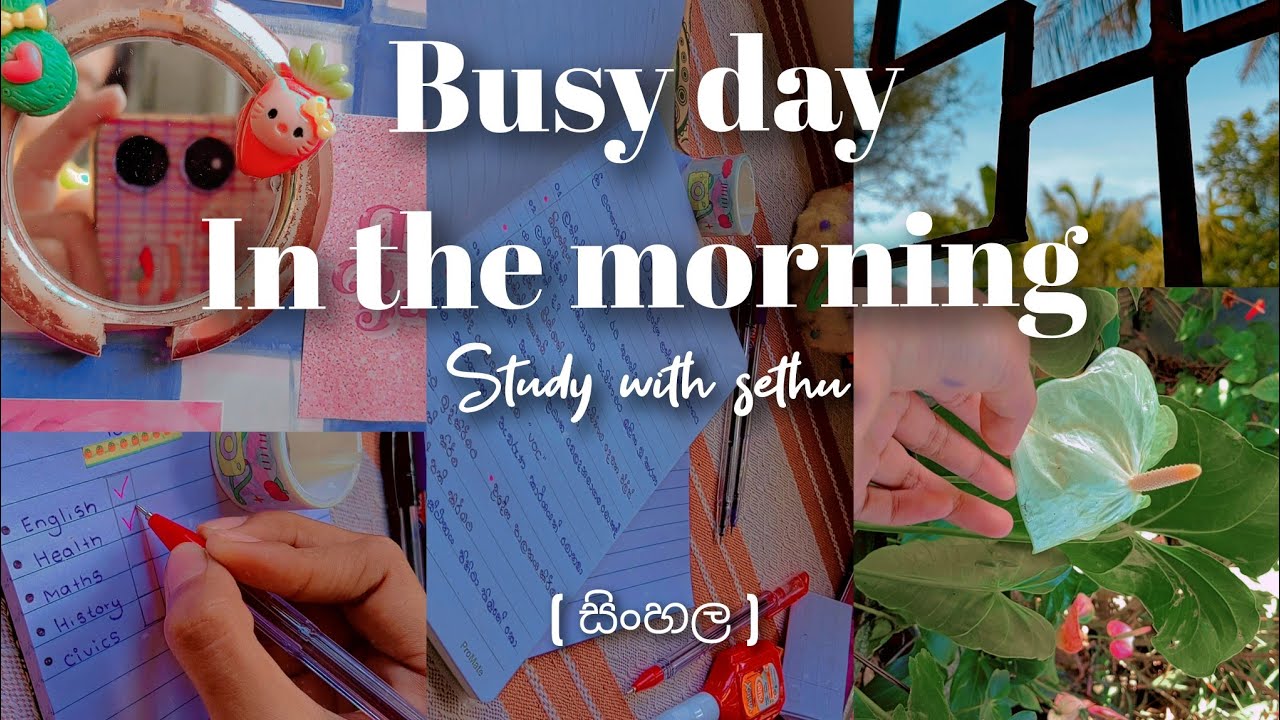 🎀:-) 𝔹𝕦𝕤𝕪 𝕕𝕒𝕪 𝕚𝕟 𝕥𝕙𝕖 𝕄𝕠𝕣𝕟𝕚𝕟𝕘 ✨ [සිංහල]  𝚐𝚛𝚊𝚍𝚎 𝟶𝟿 #trending #cute  #easthatic