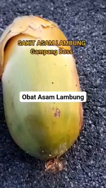 Obat Untuk Asam Lambung.   #resep #herbal #shorts
