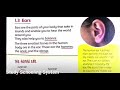 Online lecture on unit1 part13  ears from science factor 3 by mslaraib