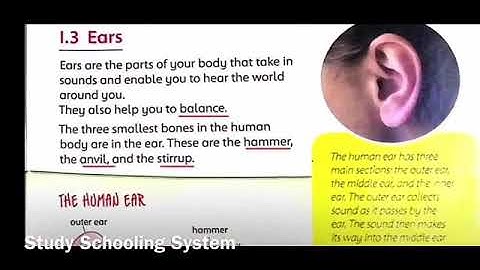 Online Video Lecture on Unit#1 (part1.3)  Ears from Science factor 3 by Ms.Laraib
