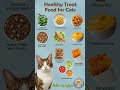 Healthy treat food for cats #petcare #cat #petcareprovider #catfacts #quiz #usashorts