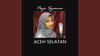 Aceh Selatan (Remix)