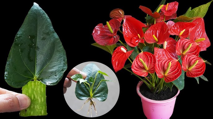 Paypoqda kotiba bilan porno tomosha qiling Ish stoli xxx