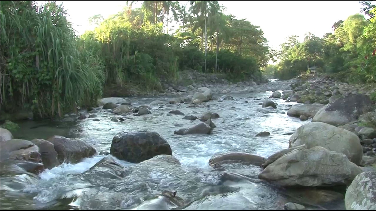 AHK-Netz unterstützt Exportinitiative Umwelttechnologien des Bundesumweltministeriums
