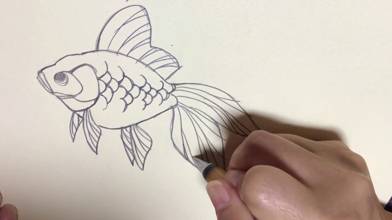 切り剣流 初級切り絵講座 金魚 図案編 描きかた Youtube