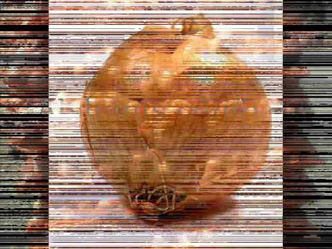 حمادة هلال دموع